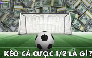 kèo 1/2 là gì